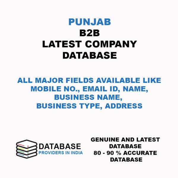 Punjab B2b Company Database